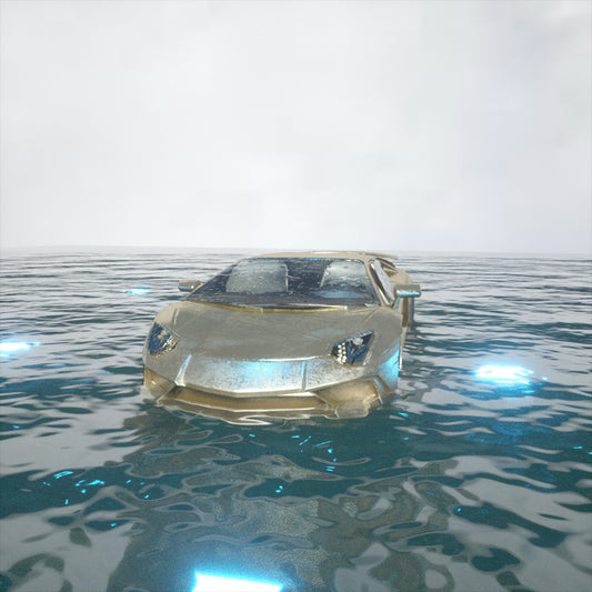 a car in the water