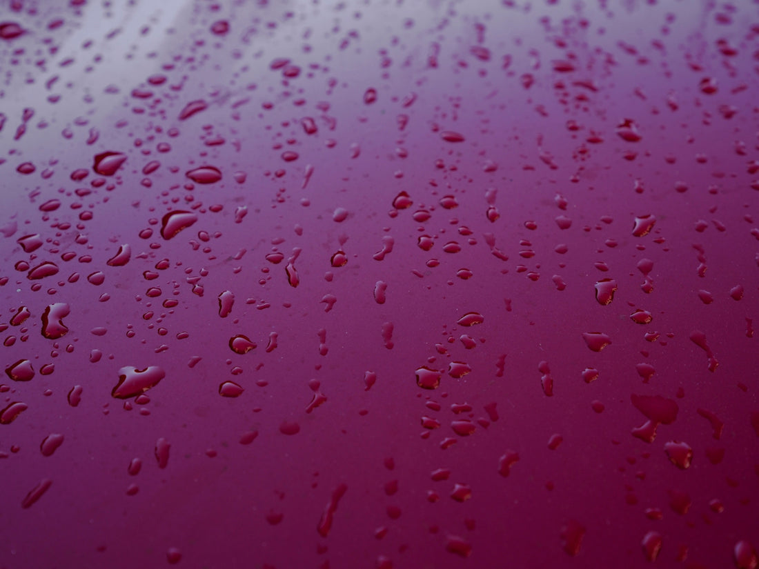 a close up of water droplets on a purple surface