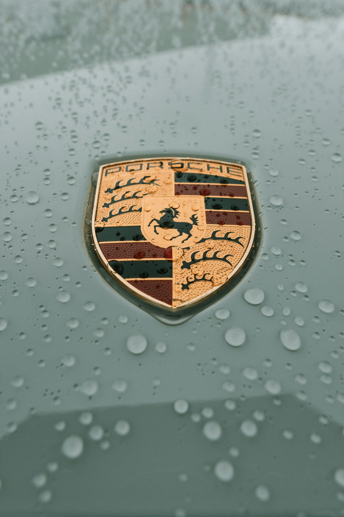 The porsche emblem is covered in raindrops.