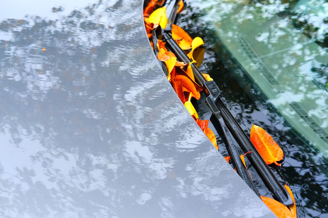 The Surprising Benefits of Using a Waterproof Car Cover - Deutschmotor