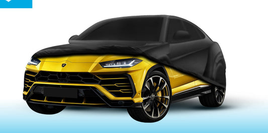 "Protecting the Shine: How a Car Cover Saved a Sports Car from the Elements" - Deutschmotor